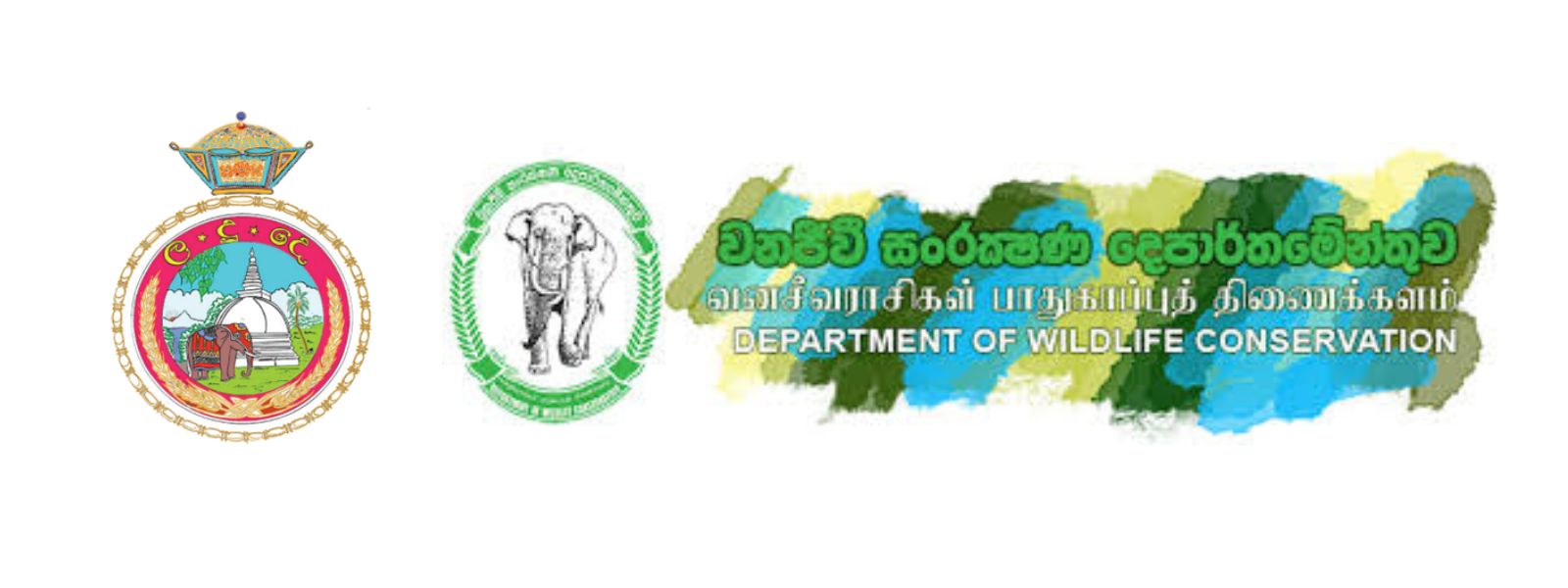 Program to Prevent Elephant-Train Collisions